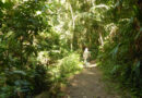 Two-and-a-half centuries of rainforest protection in Tobago