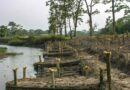 How nature-based solutions can help vulnerable and marginalized communities overcome climate injustice
