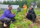 For Black women farmers, tending the land is ancestral and healing