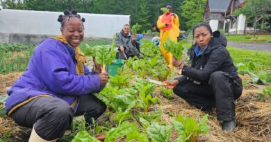 For Black women farmers, tending the land is ancestral and healing
