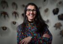 Peggy Flanagan could make history for Native American women in November. She’s not the only one.